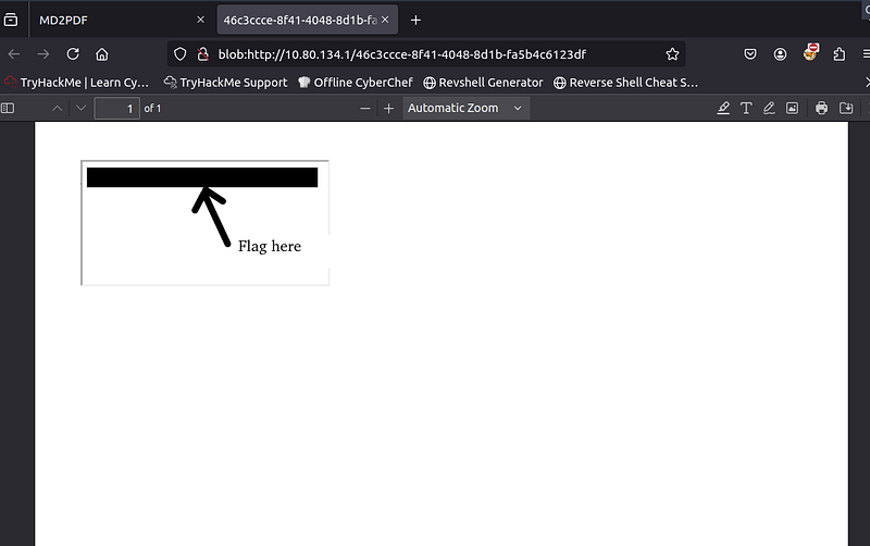 Flag is rendered within the iframe